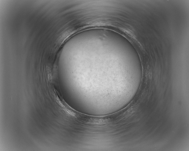 X0000061731273200512161612