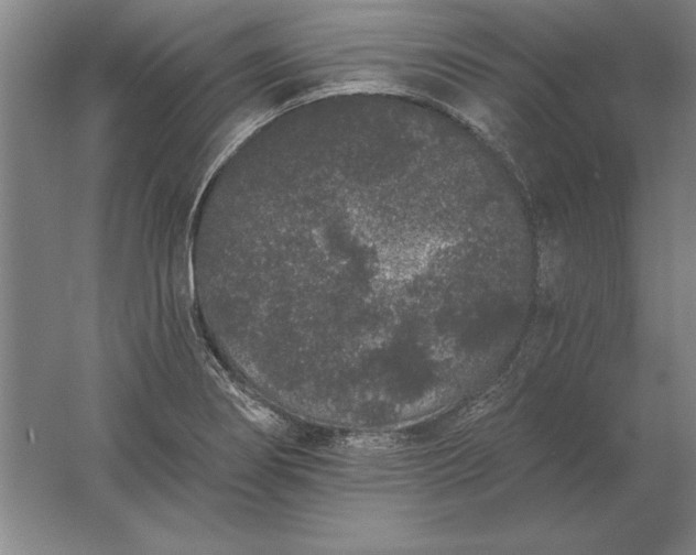 X0000061731274200512161612