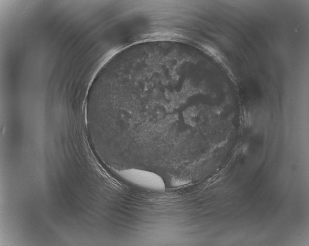 X0000061731275200512161612