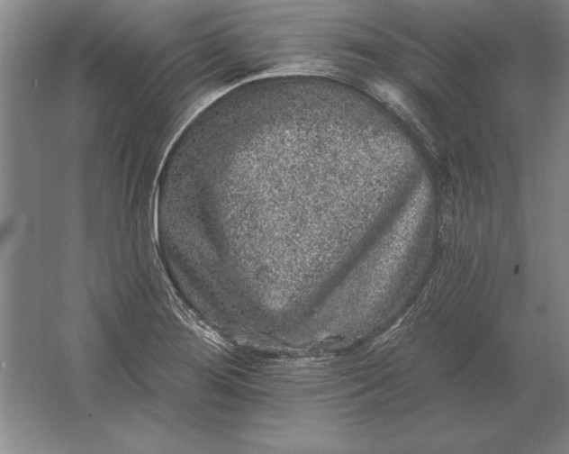 X0000061731276200512161612