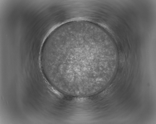 X0000061731278200512161612