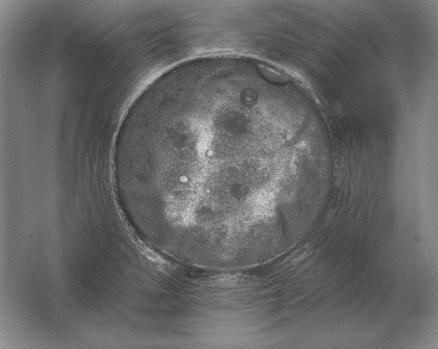 X0000061731279200512161612