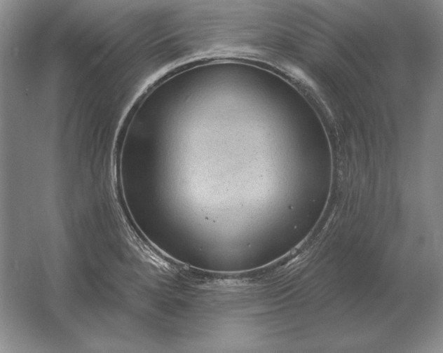 X0000061731280200512161612