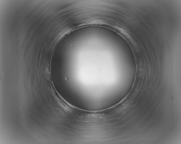 X0000061731281200512161612