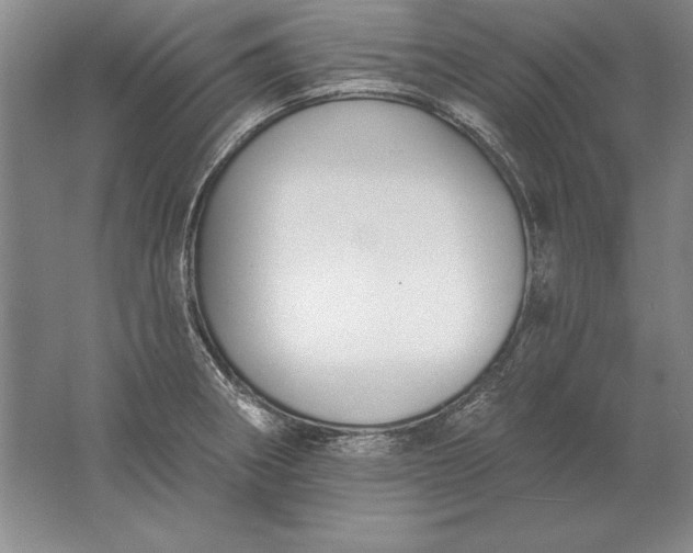 X0000061731282200512161612