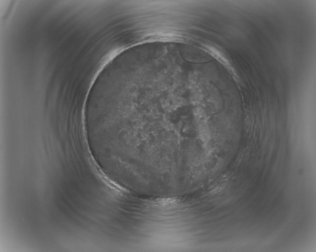 X0000061731283200512161612