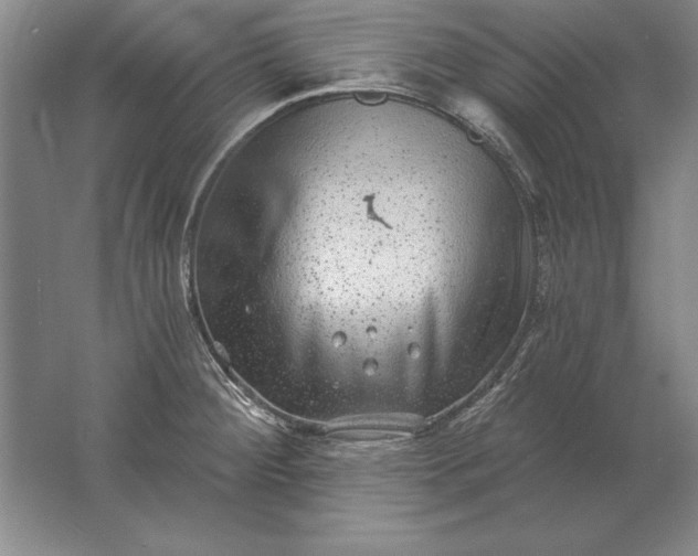 X0000061731284200512161612