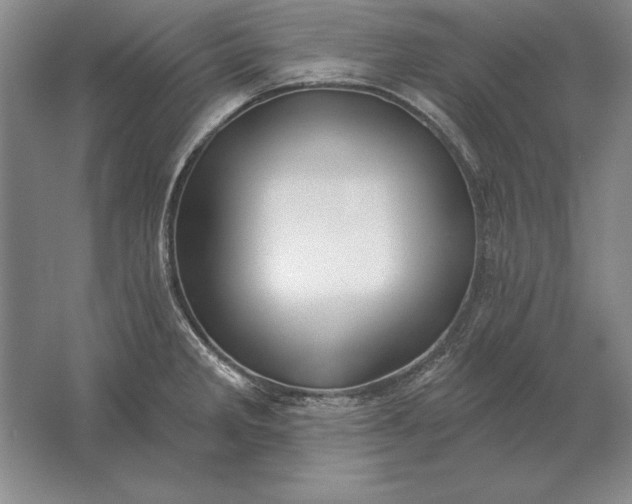 X0000061731285200512161612