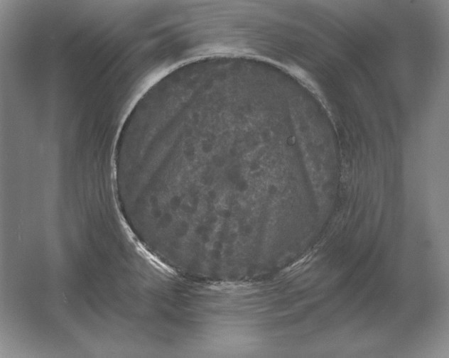 X0000061731287200512161612