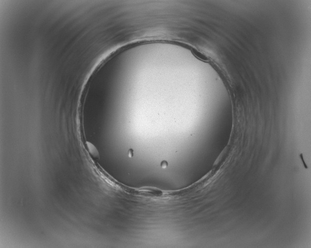 X0000061731288200512161612