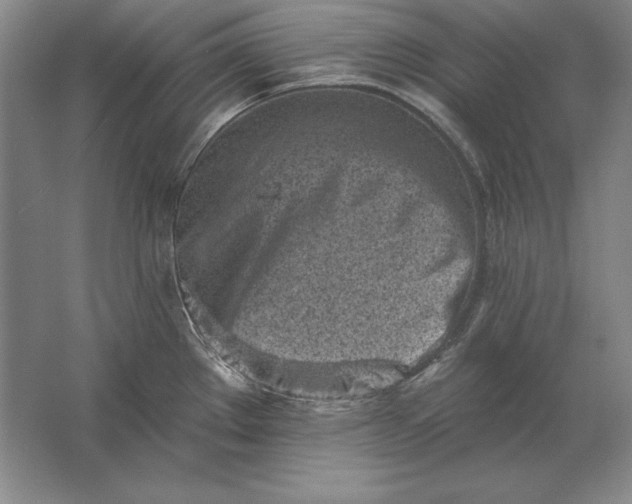 X0000061731289200512161612