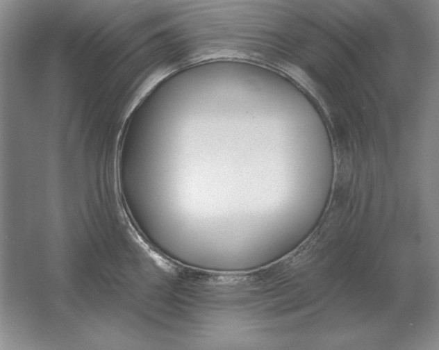 X0000061731290200512161612