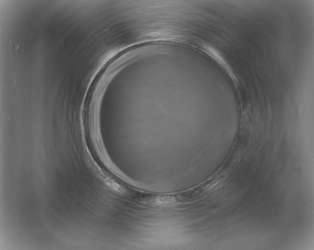 X0000061731291200512161612