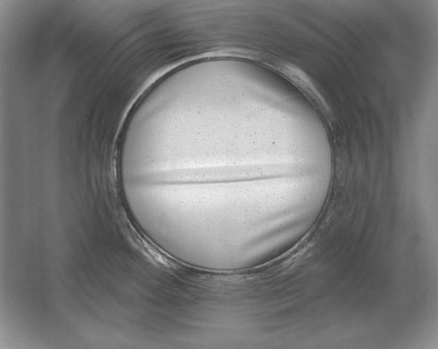 X0000061731292200512161612