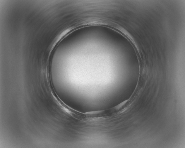 X0000061731293200512161612