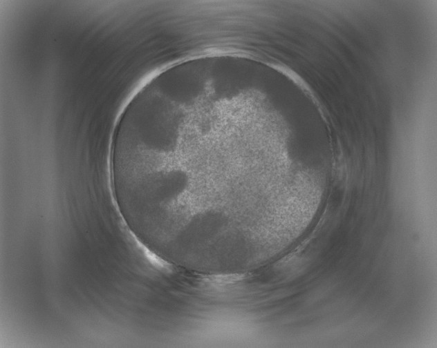 X0000061731294200512161612