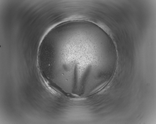 X0000061731296200512161612