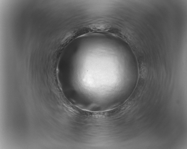 X0000061731297200512161611