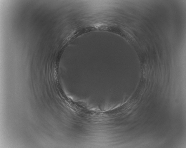 X0000061731298200512161611