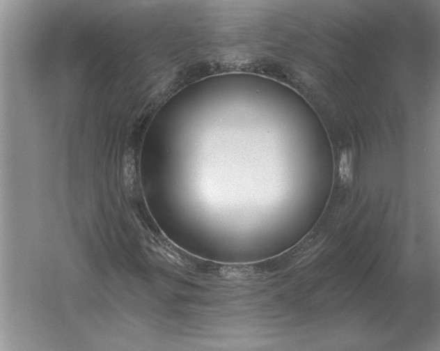 X0000061731299200512161611