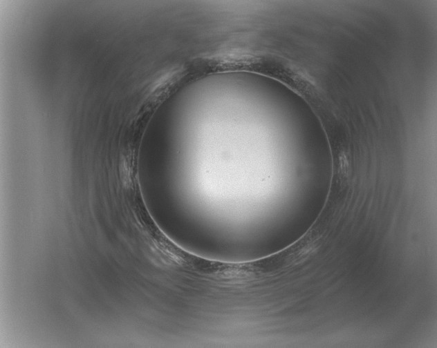 X0000061731300200512161611