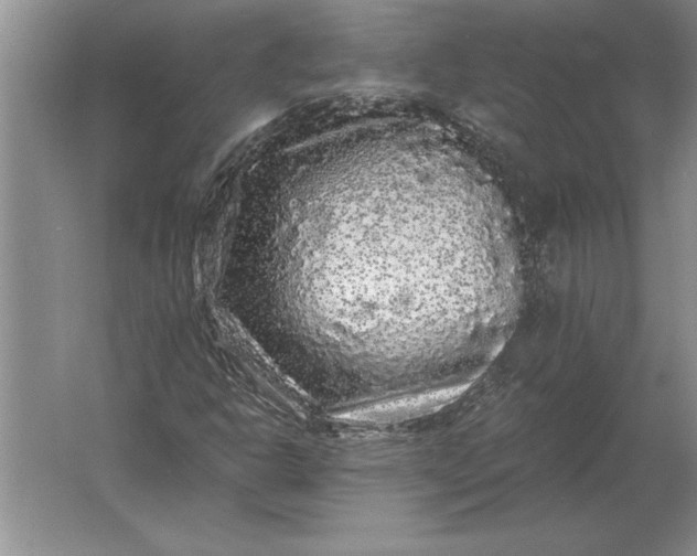 X0000061731302200512161611