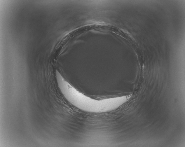 X0000061731303200512161611