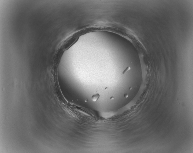 X0000061731304200512161611