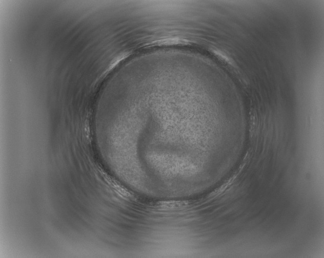 X0000061731305200512161611