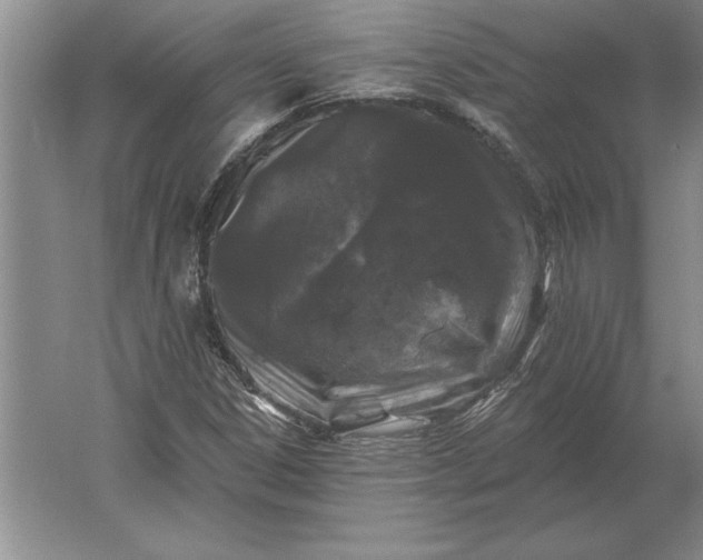 X0000061731306200512161611