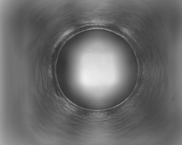 X0000061731307200512161611