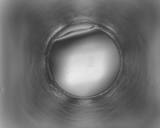 X0000061731309200512161611