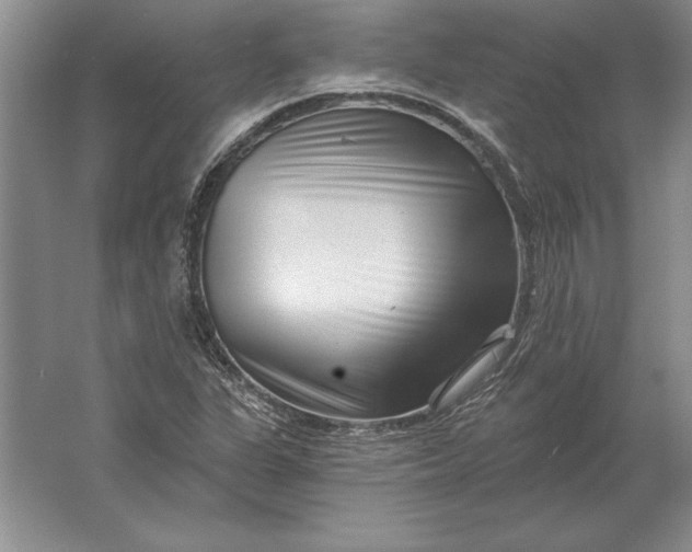 X0000061731311200512161611