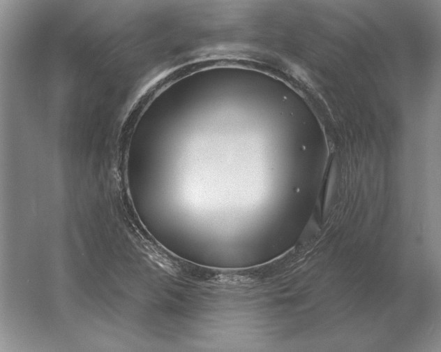 X0000061731312200512161611