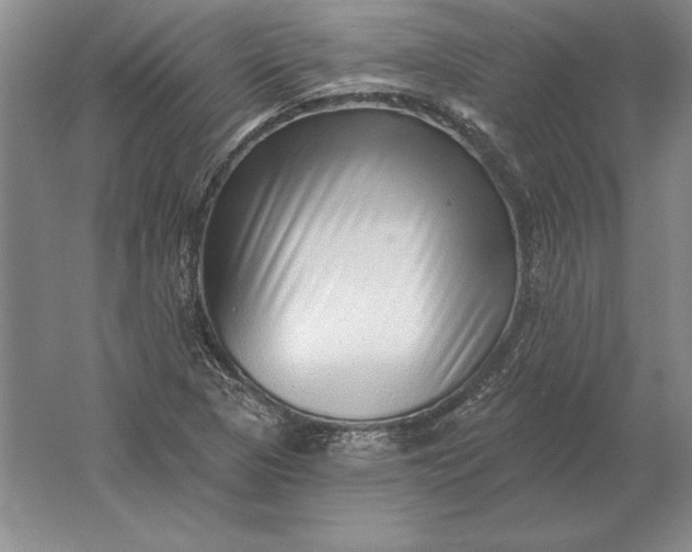 X0000061731313200512161611