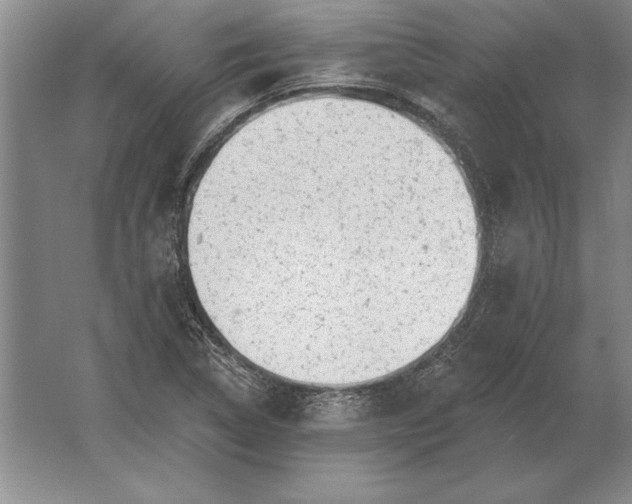 X0000061731314200512161611