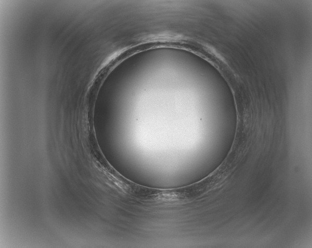 X0000061731315200512161611