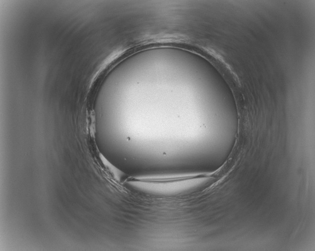 X0000061731317200512161611