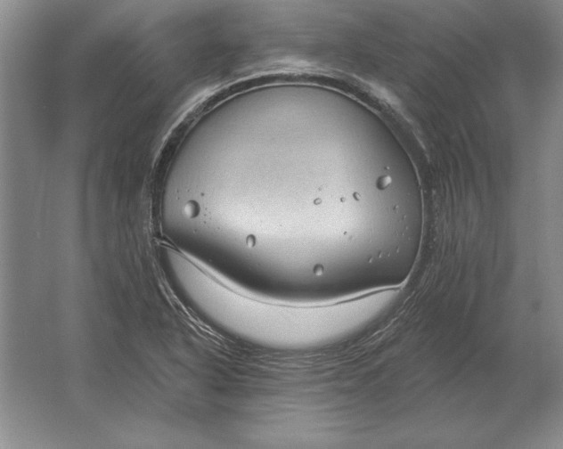 X0000061731318200512161611