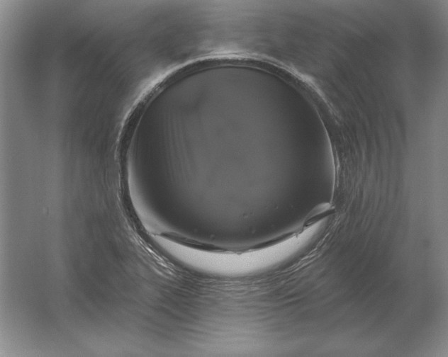 X0000061731319200512161611