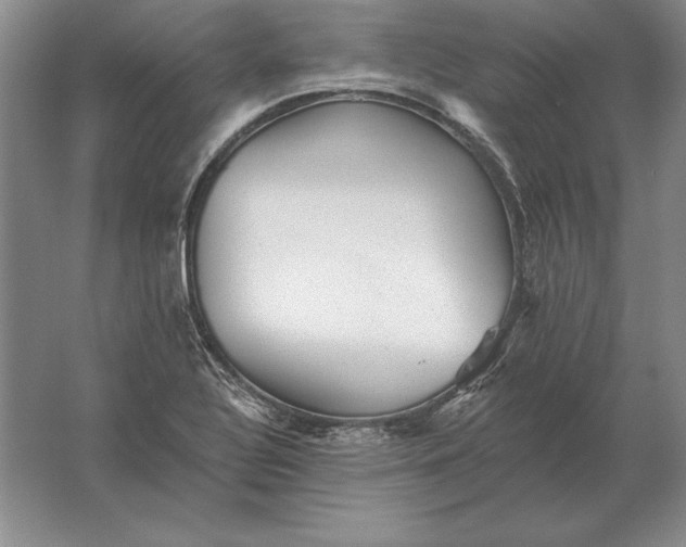 X0000061731320200512161611