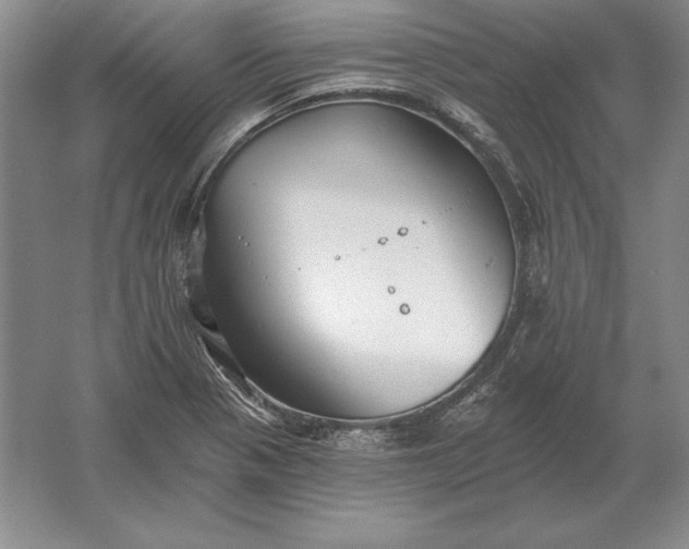 X0000061731321200512161611