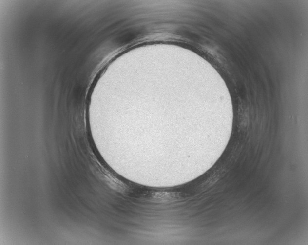 X0000061731322200512161611