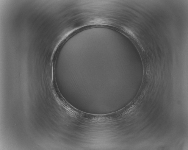 X0000061731323200512161611