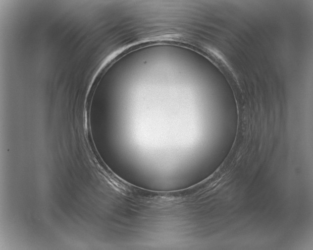 X0000061731324200512161611