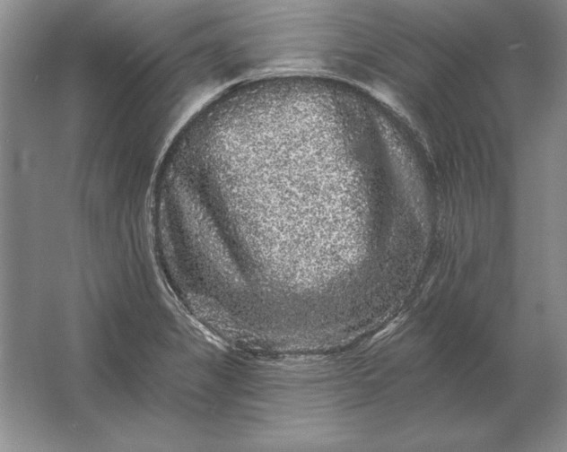 X0000061731325200512161611