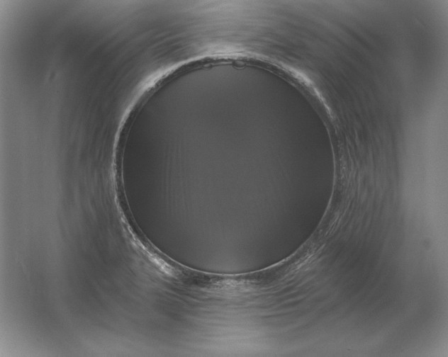 X0000061731327200512161612