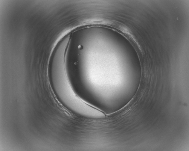 X0000061731328200512161612