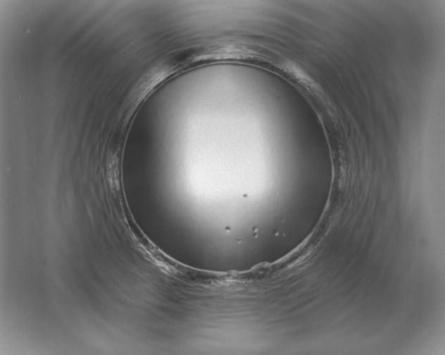 X0000061731329200512161612