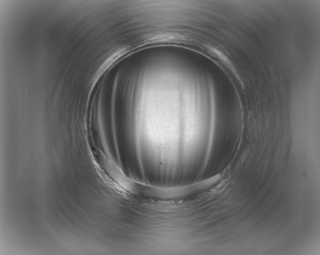 X0000061731330200512161612